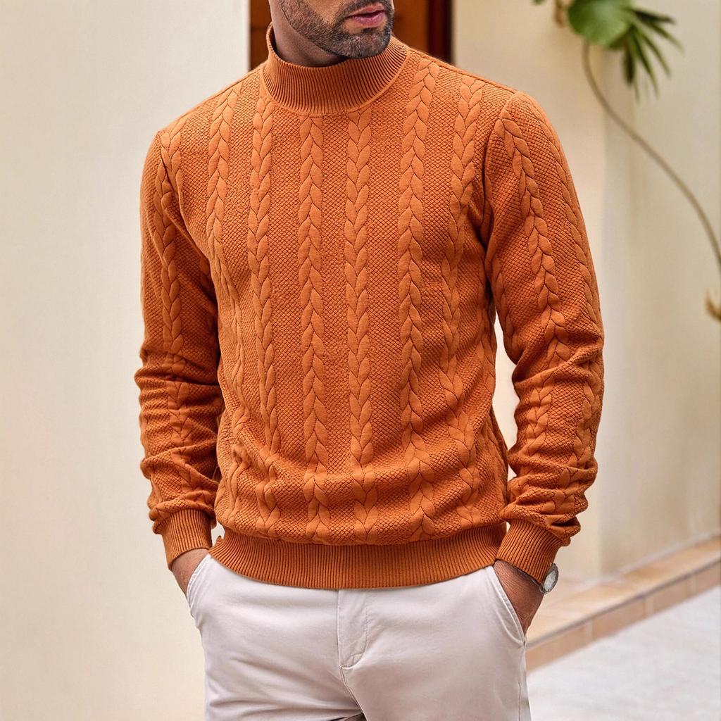 Autumn and winter sweater knitted sweater daily solid color young men's fashion jacquard turtleneck warm sweater