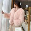 Light Fashion Fur Coat Women's Winter New Imitation Fox Hair Short Coat Women's Imitation Leather
