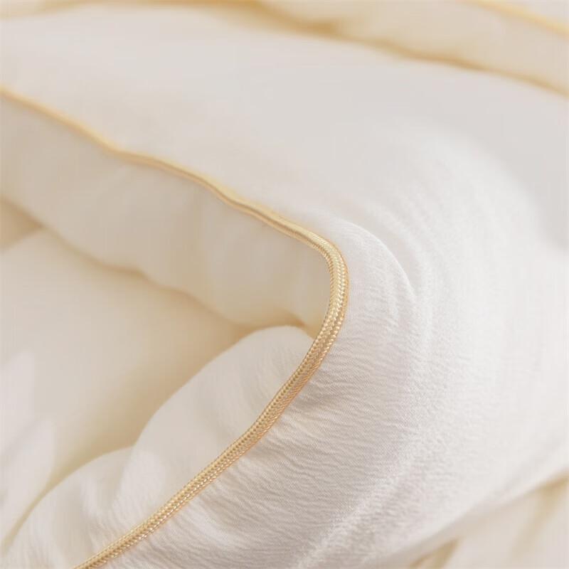 Mercury Home Textiles Corn Warm Winter Quilt