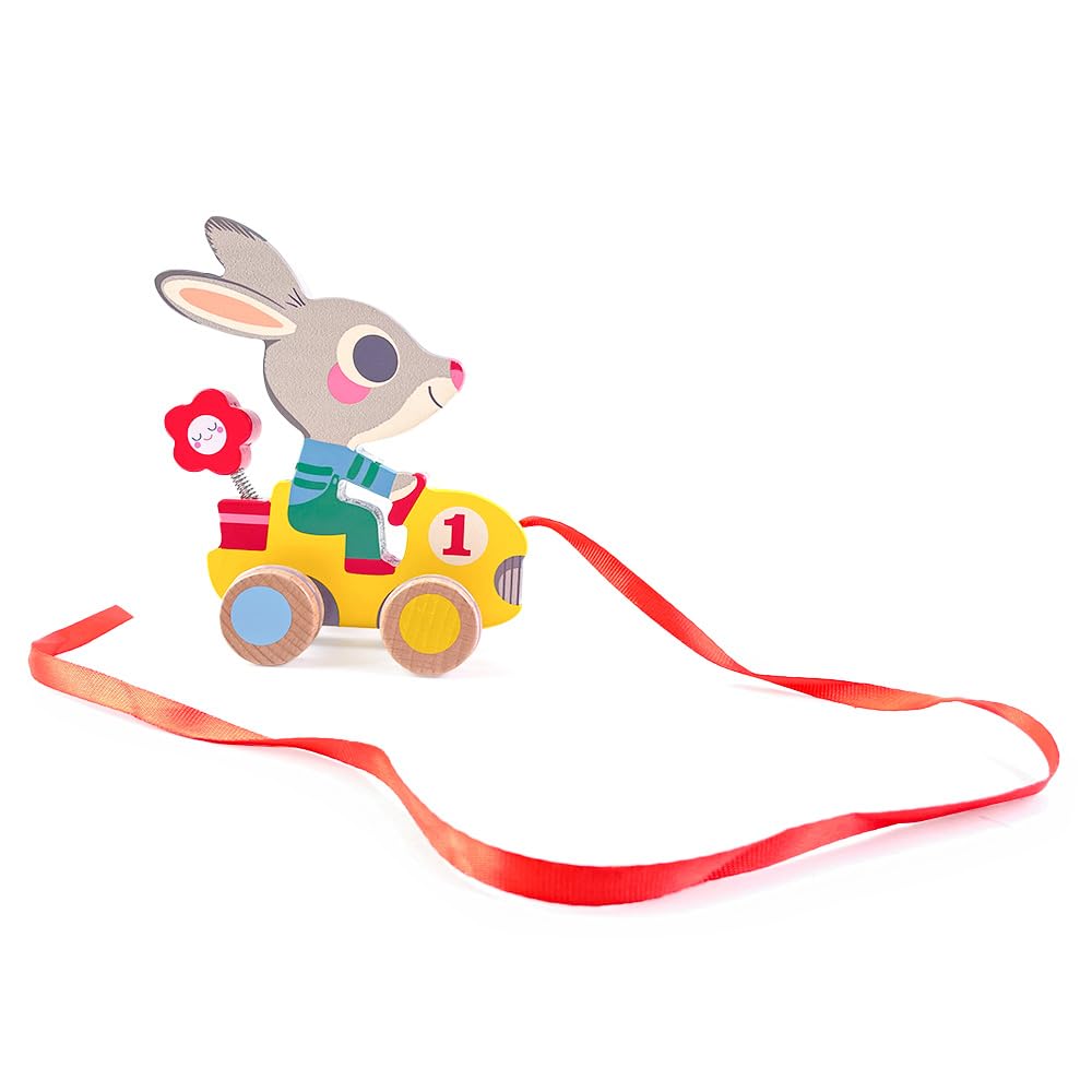 DJECO Pull Along Toy a Raccoon Rabbit Toy for Walking Suitable for Ages 1 18 2 and A Great Gift for Sports or Any Autumn - Roulapic, Practice, Year,