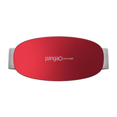 PANGAO Rechargeable Waist and Abdominal Massager with Heat CN Plug (adapter Included)