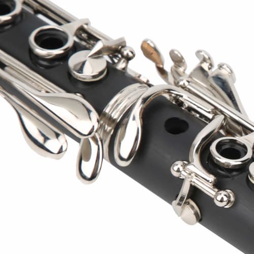 17-Key B-Flat Clarinet Set for Students and Professionals, Includes BB Cleaning, Cross Reeds, and Driver Box (Black)