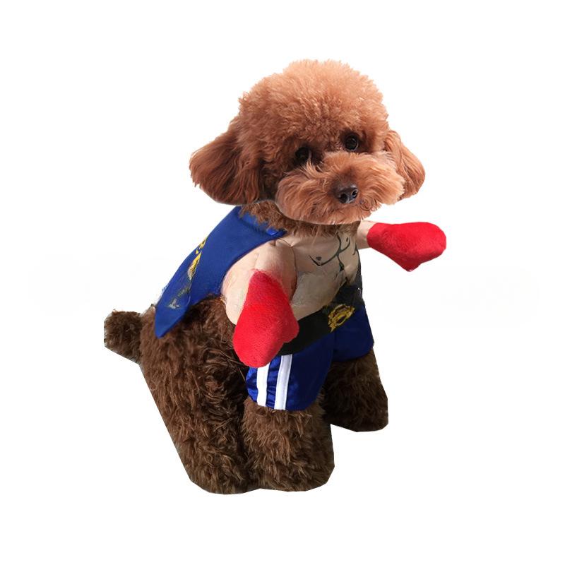 Big Tong, The Boxer, Transforms Into A Boxing Champion In A Dog Costume, A Standing Dog Costume, A Cat Costume, and A Funny Pet Costume