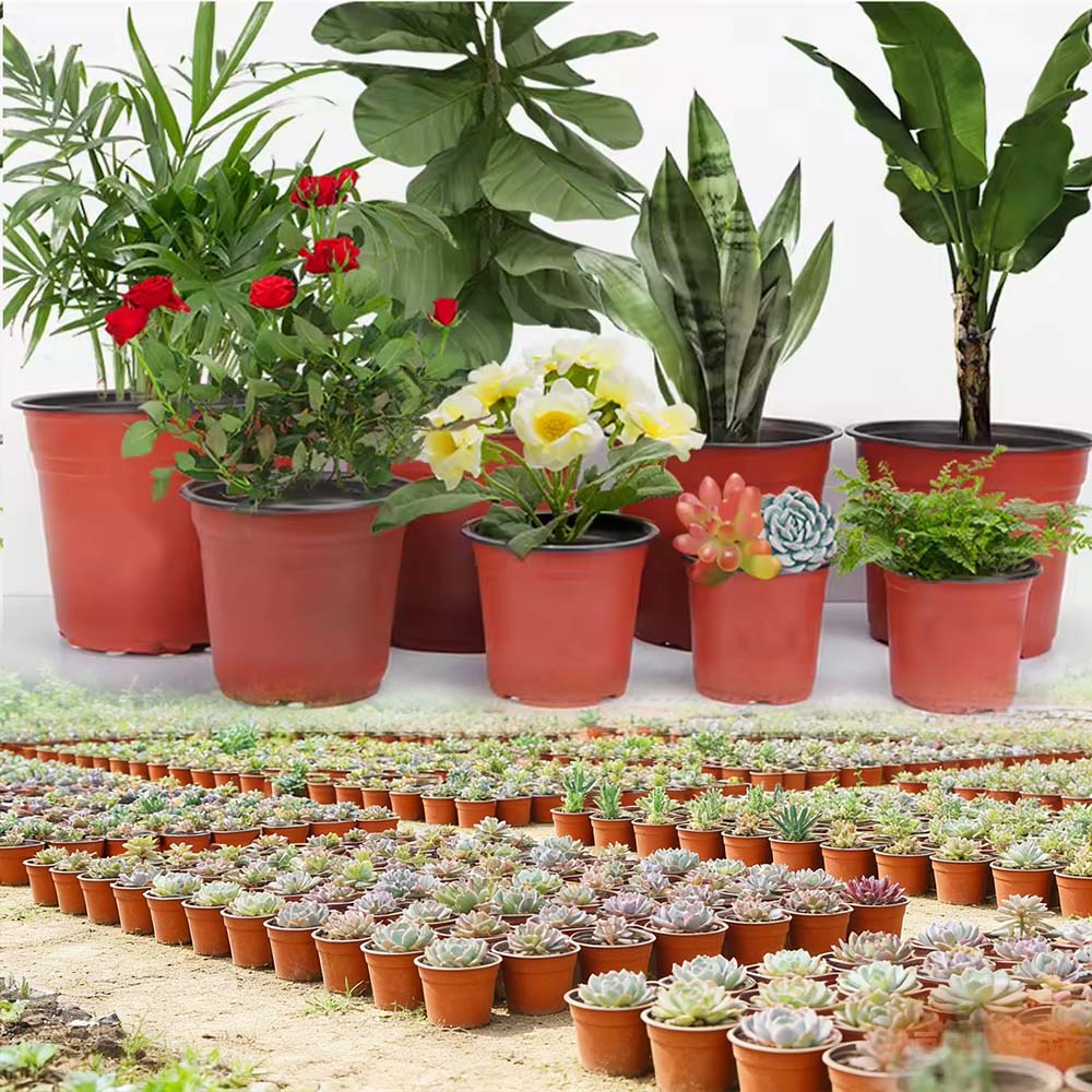 9‑15cm Plastic Flower Pot with Drainage Hole10PCS Nursery Seedling Planter Gardening Grow Pot for Home Balcony Maceta Jardineria