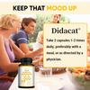 Mood Probiotics 30 billion CFU, containing prebiotics, supports mood and digestion, 120 capsules