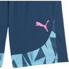 Puma Individual Final Printed Casual Training Mid-Rise Sports Shorts Men Shorts Blue 659019-56