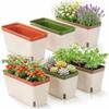 Decorațiuni pentru casă – Ghivece de flori decorative