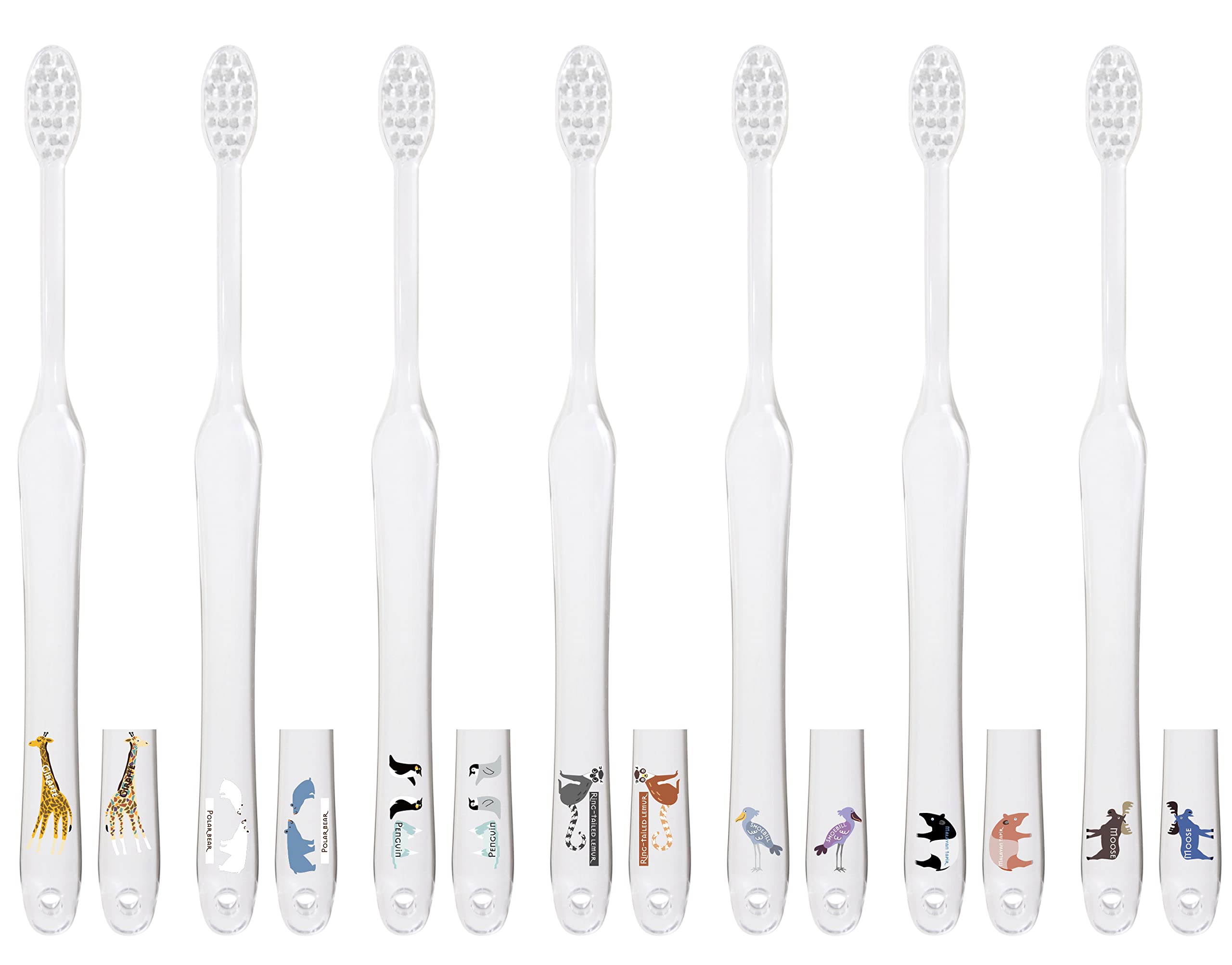

the God of Spiral Twin Adult Zoo Natural Clear LAPIS, Toothbrushing Bristles, Toothbrush, Regular, Bristles, 7-Piece Set, LA-221PET,