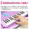Hobinavi Keyboard Harmonica 32 Keys for Elementary and Children Lightweight Melody Winding Mouth Hose Table Play Standing Case Name Sticker School,