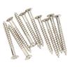 10 Pcs Guitar Neck Mounting Screws Iron Rustproof Corrosion Resistance Sturdy Neckplate Assembly Screw