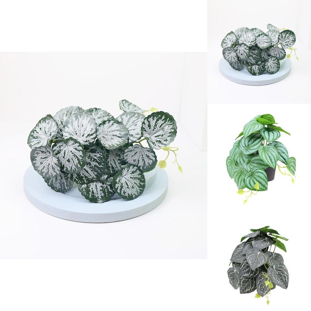 Sztuczna zieleń pnąca Shamrock do dekoracji ścian wewnętrznych z tworzywa sztucznego