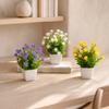 Simulated Potted Plants Mini Eucalyptus And Camellia Buds Potted Plant Maintenance-Free Fake Plants