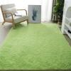 Plush Bedroom Rug, Solid Color Soft Shaggy Carpet, Non-Slip Backing, 19.69 in x 31.5 in Fuzzy Rug for Living Room Kids Room Decor