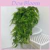 Plastic Grass Wall Vine For Home Decor And Photography