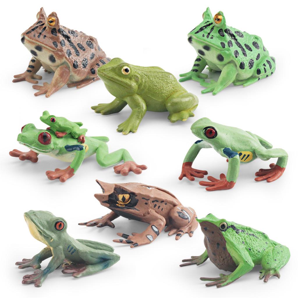 Wildlife Pvc Animal Models With Realistic Frog Collection For Children Educational Decor