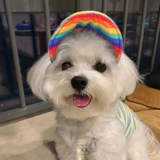 Adjustable Dog Baseball Cap Outdoor Sun Protection Hat Puppy Visor Sunbonnet _A