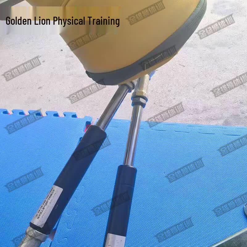 Golden Lion Combat Training & Smart Assessment System