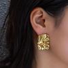 Irregular Pleated Earrings For Women, With A Niche And Cool Design, Fashionable And Versatile Earring Accessories.