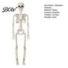 Full Body Skeleton for Party Decorations Halloween Decoration, 3Ft Life Size Human Bone, Realistic Posable Simulation Bone Structure Stage Setup with