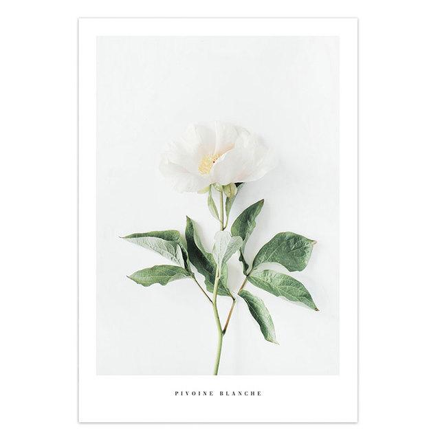 

Скандинавский скандинавский цветок, природный стиль, пейзаж, холст, живопись, постеры и принты, настенное искусство, цитаты, картина, декор для гостиной 30X40cm No Frame