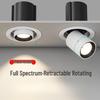 Oeny Recessed Retractable 30W LED Spotlight