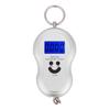 Portable Plastic Electric Digital Hanging Scale with Hook Tool for Fishing Luggage (Black)