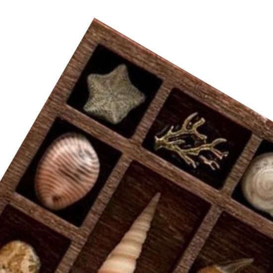 Miniature Trinket Shelf Gem Mini Collectibles Display Shelf Miniatures Organizer Shelf for Gems Shells Crystals Mini Figures