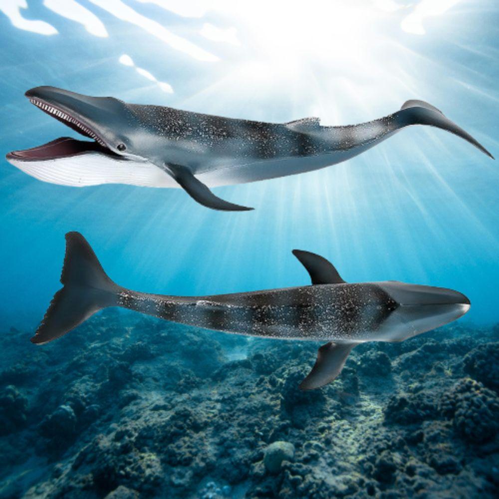 Wild Blue Whale Action Figure Toy Large Ocean Animal Statue  For Kids Children Birthday Gifts