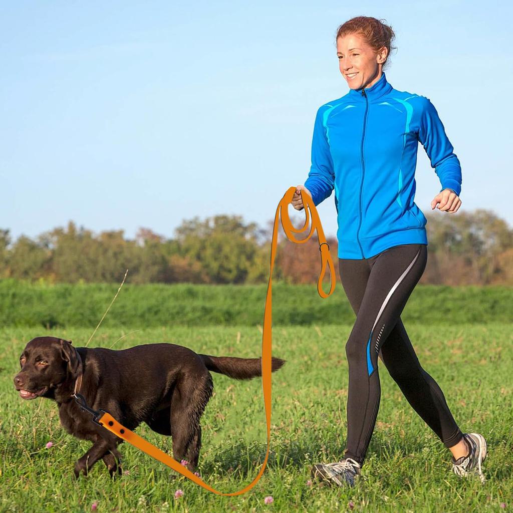 HARUMAKI Dog Dog Pet Walking Training Lead for Medium and Large PVC Coated Polyester Woven Pet Suitable for Outdoor Activities Such As Hiking Length