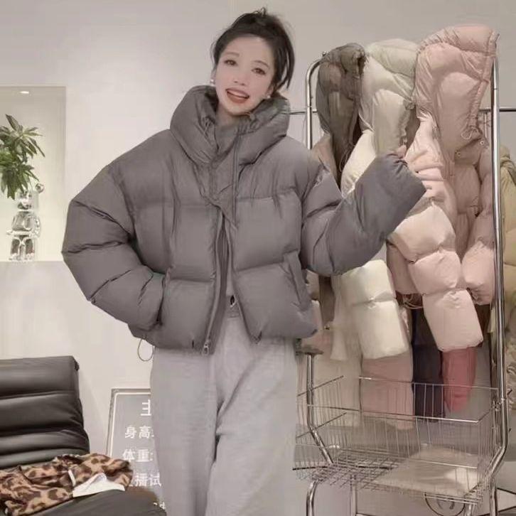 Autumn and Winter New Small High-end Down Jacket Women's Short Thickened Small Placket White Duck Down Jacket Tide