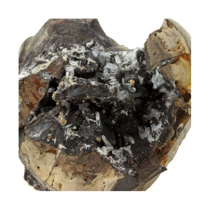 Célestine dans Septaria 1360.0 carats