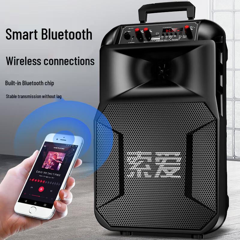 SA-T25 Portable High-Power Outdoor KTV Speaker