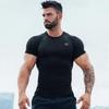 Men's Quick Dry Tight Fit Short Sleeve Sports T-shirt: Elastic Fitness Wear for Running & Training - Summer Edition