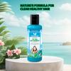 Ashurveda Tea Tree Anti-Dandruff Shampoo 200ml | Hair Fall Control | Smooth & Healthy Hair | Clears Dandruff | Enriched with Natural Extracts