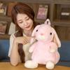 Backpack Lop-eared Rabbit Plush Backpacks Plush Schoolbag Stuffed Backpacks Children Backpacks