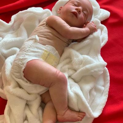 BZDOLL 20 Inch Reborn Sleeping Boy Baby Doll Toy with Cloth Body 3D-Paint Skin Soft Vinyl for Girl  Art Bebe with Bag
