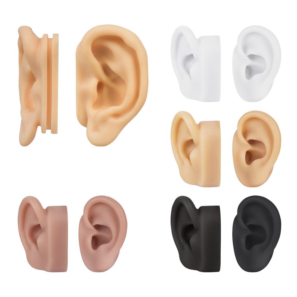 5D Silicone Ear Model for Ear Picking, Teaching, Jewelry Display, and Hearing Aid Demonstration