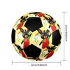 Bing Soccer Ball Colorful All Ages Machine Stitched PVC Competition Ready Durable High-Bounce.SIZE5
