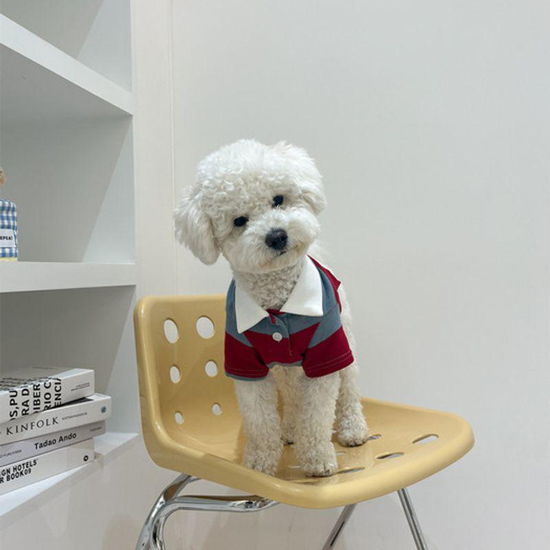 BARKDOG Rugby Stripe PK Carat