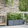 Garden Planter Set 3 pcs Light Grey 120 x 40 x 37.5 cm Plastic