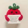 Cute Handmade Plush Doll Knitted Tomato Décor with Positive Message Valentine's Day New Year Birthday Gift for Kid and Couples