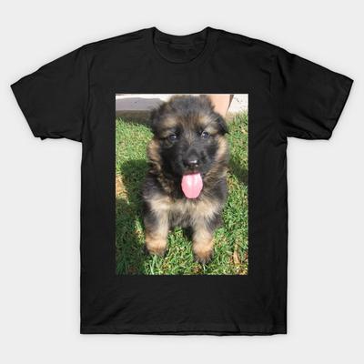 german shepherd dog puppy buy online