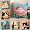 Cute Cartoon Cat Patterns Pillow Case Double-Sided Plush Sofa Cushion Covers Organic Breathable Invisible Zipper