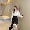 2025 Retro Academy Style Professional Two-Piece: Mid-Length Shirt & Half-Body Skirt for Spring/Summer