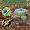 10pcs Plastic Planting Protective Cover Thermal Moisturizing Seedling Insulation Cover Transparent Reusable Seedling Hood