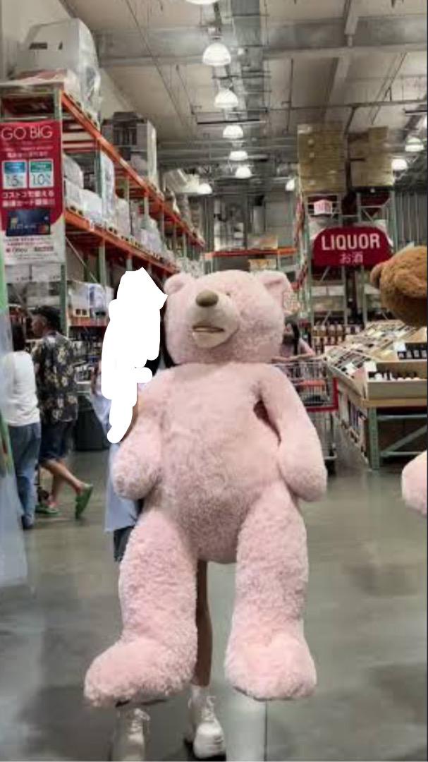 

[USED] teddy bear