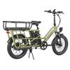 Fafrees FF20 CUV - Vélo cargo électrique - 250 W - 48 V - 24 Ah - Vitesse maximale 25 km/h - Vert - Avec cadre arrière