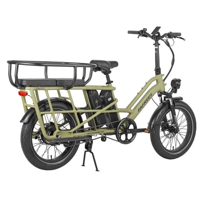 Fafrees FF20 CUV - Vélo cargo électrique - 250 W - 48 V - 24 Ah - Vitesse maximale 25 km/h - Vert - Avec cadre arrière