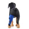 Hunde-Hinterbein-Stützbandage zur Genesung nach Operationen und zum Schutz vor Verletzungen für mittlere bis große Rassen
