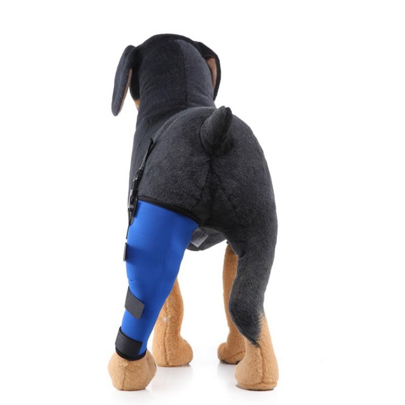 Hunde-Hinterbein-Stützbandage zur Genesung nach Operationen und zum Schutz vor Verletzungen für mittlere bis große Rassen